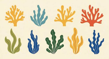 deniz yosunu vektör illüstrasyonu.