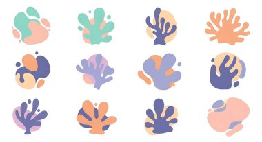 Deniz ve deniz elementlerinin toplanması