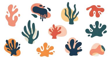 Tropikal deniz elementleri seti. Tropikal bitkilerin, mercanların, mercanların ve mercanların vektör çizimleri.