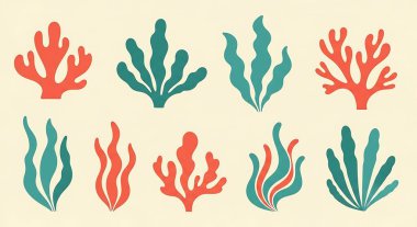 Tropikal bitkiler, mercan, mercan, mercan, mercan, mercan, mercan örnekleme seti