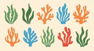 Bir dizi mercan resifi ikonu. vektör illüstrasyonu