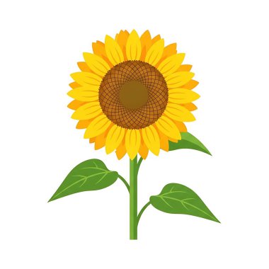 ayçiçeği ikonu. Web tasarımı için ayçiçeği vektör simgesinin düz çizimi