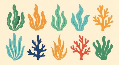 Mercan bitkilerinin mercanlardaki vektör çizimi