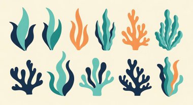 Bir grup deniz hayvanı ve deniz canlıları. deniz yaşamı.