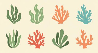 Deniz bitkilerinin vektör kümesi, mercan