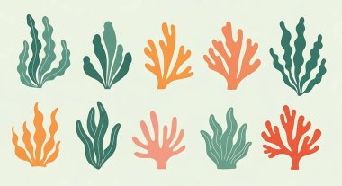 Deniz bitkileri, mercan resifleri.