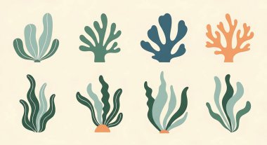 Tropikal yaprak seti. el çizimi resimleme.