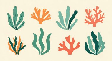 suluboya mercan resifi seti