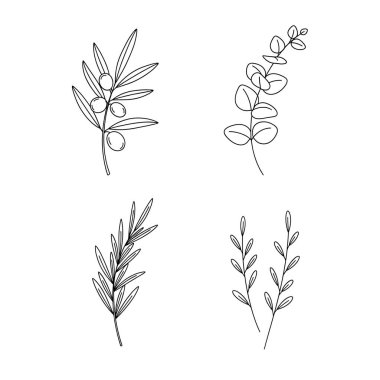 Ağaç ve çiçek logosunun vektör çizimi. Stok için ağaç ve yeşil vektör simgesi koleksiyonu.