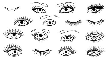 Farklı kirpikleri var. El çizimi vektör illüstrasyonu.