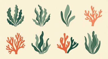 el yapımı deniz bitkilerinin vektör kümesi