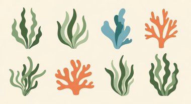 Deniz yosunu ve yosun seti. vektör yassı deniz yosunu çizimi