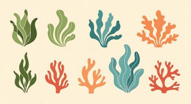 Deniz ve deniz yaşamı.