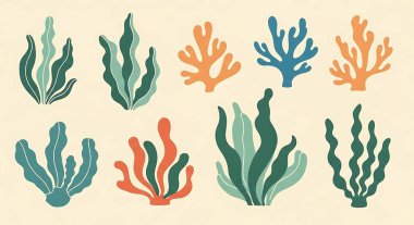 Deniz bitkileri, deniz bitkileri, deniz hayvanları.