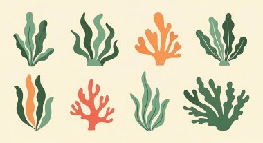 Vektör içinde mercan bitkileri kümesi