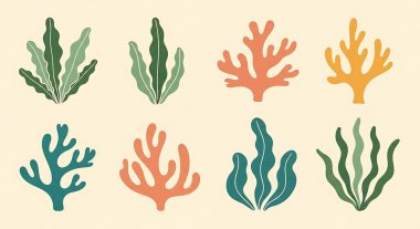 Bir dizi vektör el çizilmiş deniz bitkileri. Tasarım, kart, poster veya yazdırma için vektör çizimi.