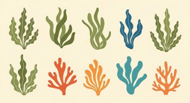 Bir dizi deniz bitkisi. vektör çizimleri