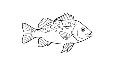 Çizgi film balıklarının vektör çizimi