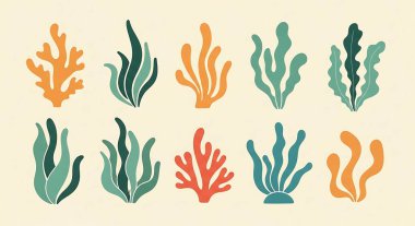 deniz canlılarının kümesi