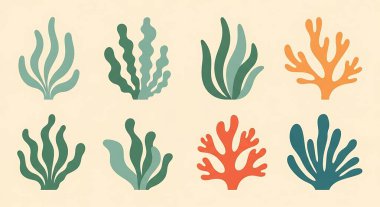 Bir dizi deniz canlısı ve mercan.