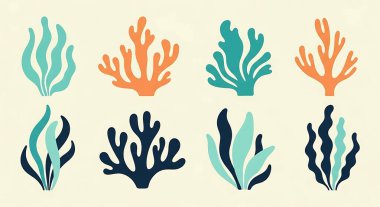 mercan bitkilerinin vektör kümesi