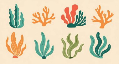 Vektör el çizimi deniz bitkileri. Deniz bitkileri, yosun, yosun, yosun koleksiyonu. Deniz altı illüstrasyonu, deniz mercanı.