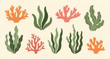 Mercan vektör seamless modeli