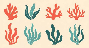 Deniz canlısı mercan. deniz yaşamı