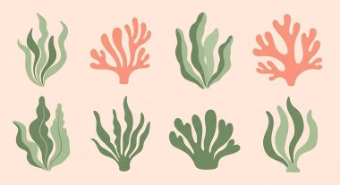 Mercan ve deniz bitkileri seti.