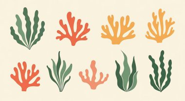 Tropikal bitkilerin vektör kümesi, el çizimi karalama stili tasarımı.