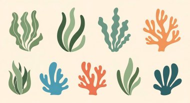 El yapımı deniz bitkileri. Deniz yaşamı. vektör illüstrasyonu