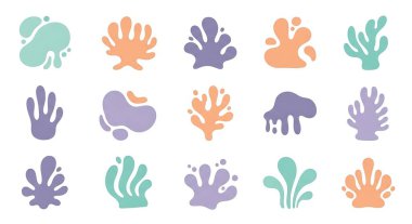 Bir dizi deniz bitkisi. vektör illüstrasyonu