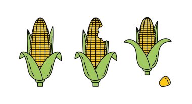 Mısır ikonu. Web için mısır vektörü simgesinin renk çizgisi çizimi