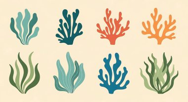 deniz canlılarının kümesi