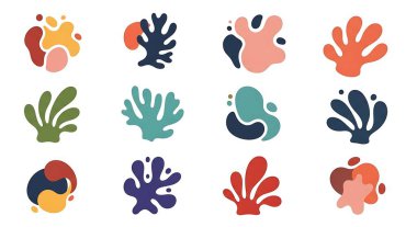 deniz canlılarının kümesi