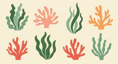 Mercan zemin üzerinde deniz bitkileri ve mercanlar.