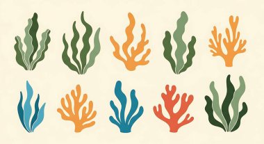 Deniz bitkileri seti