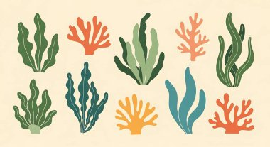 Deniz ve okyanus vektör tasarımı. Deniz bitkileri, yosun, yosun. Deniz yosunu, su altı yosunu, deniz bitkileri..