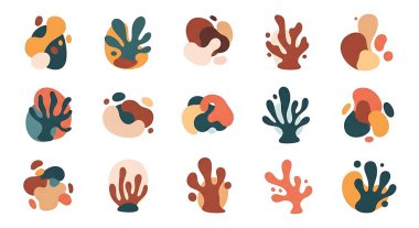 Bir dizi düz deniz kabuğu. Vektör çizimi. beyaz arkaplanda izole.