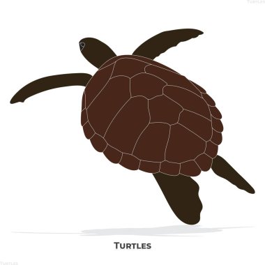 Kahverengi deniz kaplumbağası çizimi su üzerinde yüzüyor okyanus canlıları vektörü.