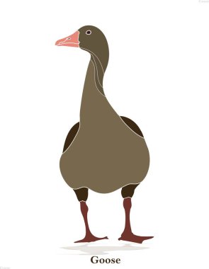 Kaz kuşu çizimi. Su kuşu çiftliği hayvan çizgi film çizimi. Evcil kaz çiftliği kümes hayvanı vahşi hayvan grafik su kuşu