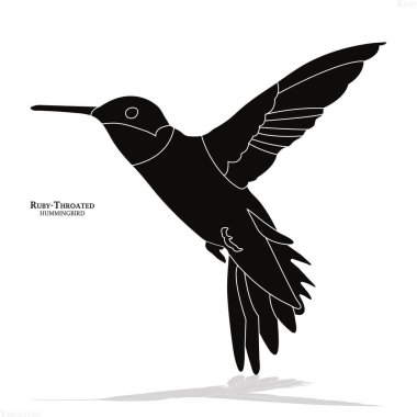 Yakut boğazlı sinekkuşunu gösteren vektör çizimi. Güzel, stilize bir tasarım, siluet bir kuş. Zarif sinekkuşuyla sanat.