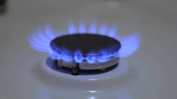 The burner of household cookers — Stock Video