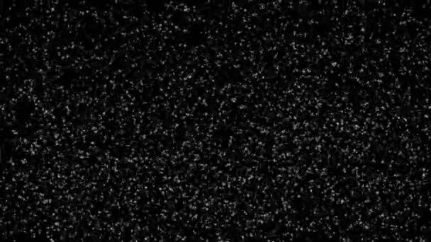 Animación de nevadas sobre fondo negro — Vídeo de stock