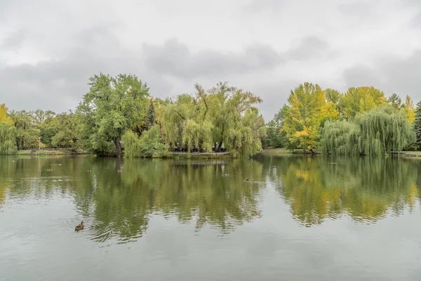 Φθινόπωρο Στην Πόλη Πάρκο Λιμνούλα Πάπιες Συννεφιά Ημέρα Σεπτεμβρίου Σαράτοφ — Φωτογραφία Αρχείου
