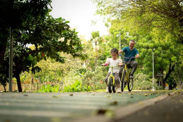 Büyükbaba ve küçük kız tatillerde parkta dengeli bisiklete binecekler.