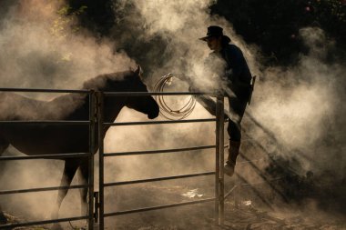 Gün doğumunda tozlu bir ağılda at eğiten bir kovboy dramatik bir batı silueti yaratıyor.