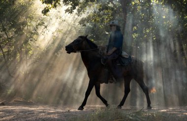 Ağaçların arasında parlayan dramatik güneş ışınları arasında ata binen bir kovboy sinematik bir batı atmosferi yaratır.