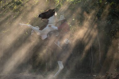 Ağaçların arasında parlayan dramatik güneş ışınları arasında ata binen bir kovboy sinematik bir batı atmosferi yaratır.