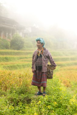 Asyalı kırsal bir kadın sisli bir pirinç tarlasında elinde sepetle duruyor ve basit, düşünceli bir kırsal yaşam tarzını kucaklıyor.